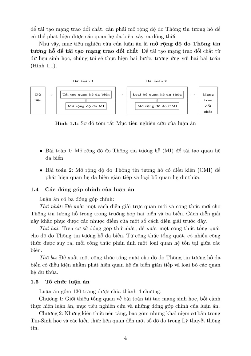 Luận án Bài toán tái tạo mạng sinh học, mở rộng độ đo Thông tin tương hỗ để tái tạo mạng trao đổi chất trang 4