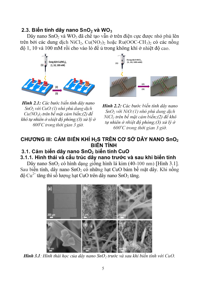 Luận án Nghiên cứu biến tính dây nano SnO2, WO3 nhằm ứng dụng cho cảm biến khí H2S và NO2 trang 5