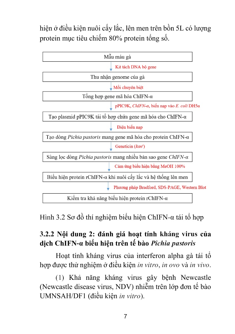 Tóm tắt Luận án Nghiên cứu tạo interferon ChIFN-α biểu hiện trên hệ thống tế bào nấm men Pichia pastoris và thử nghiệm trên các virus gây bệnh ở gà trang 10