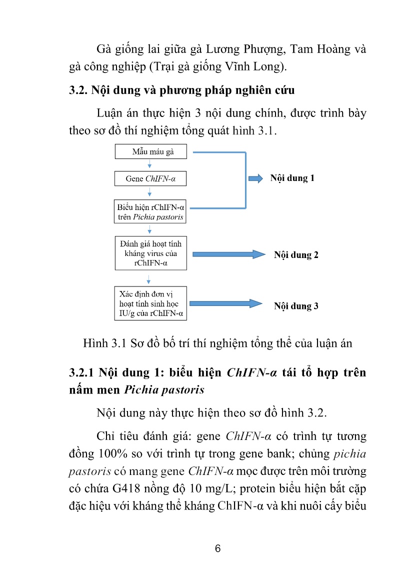 Tóm tắt Luận án Nghiên cứu tạo interferon ChIFN-α biểu hiện trên hệ thống tế bào nấm men Pichia pastoris và thử nghiệm trên các virus gây bệnh ở gà trang 9