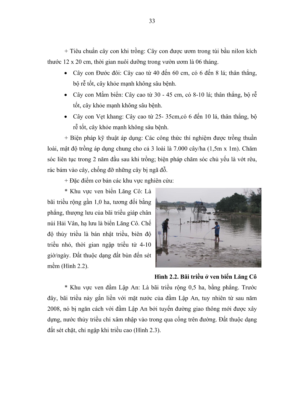 Luận án Nghiên cứu một số cơ sở khoa học trồng rừng ngập mặn ở vùng đầm phá và ven biển tỉnh Thừa Thiên Huế trang 6 Luận án Nghiên cứu một số cơ sở khoa học trồng rừng ngập mặn ở vùng đầm phá và ven biển tỉnh Thừa Thiên Huế trang 6