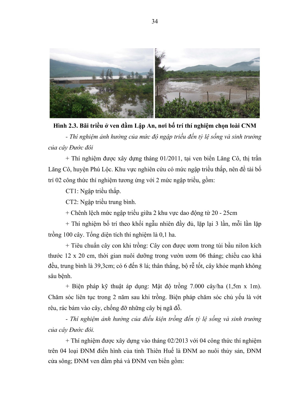 Luận án Nghiên cứu một số cơ sở khoa học trồng rừng ngập mặn ở vùng đầm phá và ven biển tỉnh Thừa Thiên Huế trang 7 Luận án Nghiên cứu một số cơ sở khoa học trồng rừng ngập mặn ở vùng đầm phá và ven biển tỉnh Thừa Thiên Huế trang 7