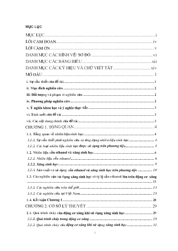 Luận án Nghiên cứu sử dụng nhiên liệu sinh học có tỷ lệ cồn ethanol tới 100% cho động cơ xăng
