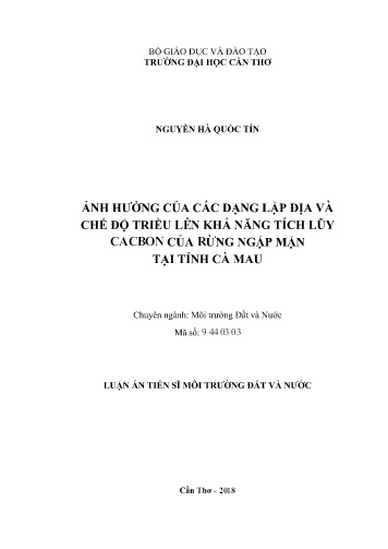Luận án Ảnh hưởng của các dạng lập địa và chế độ triều lên khả năng tích lũy cacbon của rừng ngập mặn tại tỉnh Cà Mau