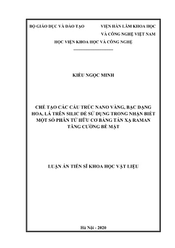 Luận án Chế tạo các cấu trúc nano vàng, bạc dạng hoa, lá trên silic để sử dụng trong nhận biết một số phân tử hữu cơ bằng tán xạ raman tăng cường bề mặt