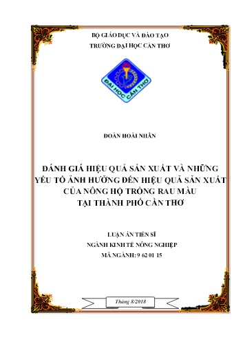 Luận án Đánh giá hiệu quả sản xuất và những yếu tố ảnh hưởng đến hiệu quả sản xuất của nông hộ trồng rau màu tại Thành phố Cần Thơ