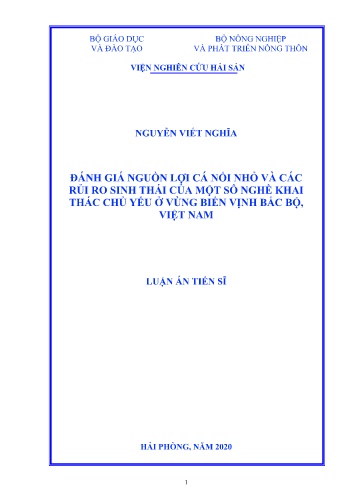 Luận án Đánh giá nguồn lợi cá nổi nhỏ và các rủi ro sinh thái của một số nghề khai thác chủ yếu ở vùng biển vịnh Bắc Bộ, Việt Nam Luận án Đánh giá nguồn lợi cá nổi nhỏ và các rủi ro sinh thái của một số nghề khai thác chủ yếu ở vùng biển vịnh Bắc Bộ, Việt Nam