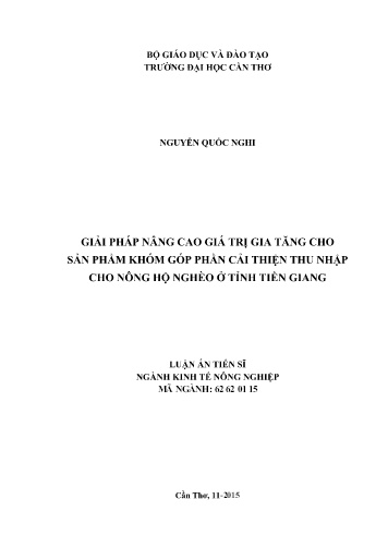 Luận án Giải pháp nâng cao giá trị gia tăng cho sản phẩm khóm góp phần cải thiện thu nhập cho nông hộ nghèo ở tỉnh Tiền Giang