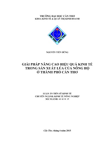 Luận án Giải pháp nâng cao hiệu quả kinh tế trong sản xuất lúa của nông hộ ở Thành phố Cần Thơ