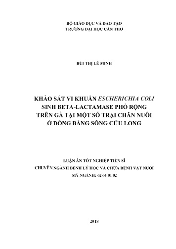 Luận án Khảo sát vi khuẩn escherichia coli sinh beta-lactamase phổ rộng trên gà tại một số trại chăn nuôi ở đồng bằng sông Cửu Long