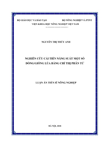 Luận án Nghiên cứu cải tiến năng suất một số dòng/giống lúa bằng chỉ thị phân tử