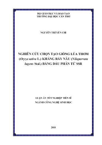 Luận án Nghiên cứu chọn tạo giống lúa thơm (oryza sativa l.) kháng rầy nâu (nilaparvata lugens stal.) bằng dấu phân tử SSR