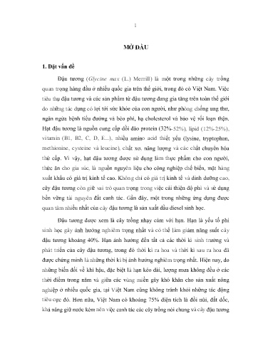 Luận án Nghiên cứu đặc điểm và chuyển gen GmDREB2 nhằm cải thiện tính chịu hạn của cây đậu tương (Glycine max (L.) Merrill)