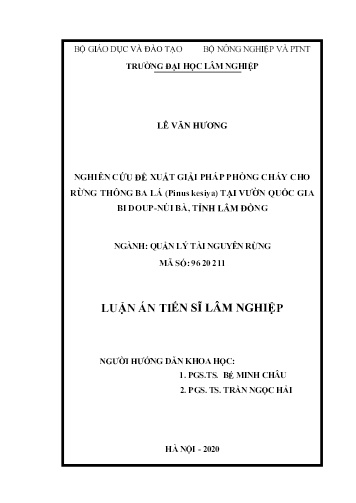 Luận án Nghiên cứu đề xuất giải pháp phòng cháy cho rừng thông ba lá (Pinus Kesiya) tại vườn quốc gia Bi Doup - Núi Bà, tỉnh Lâm Đồng