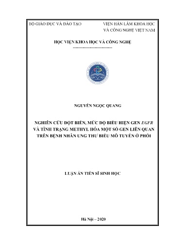 Luận án Nghiên cứu đột biến, mức độ biểu hiện gen egfr và tình trạng methyl hóa một số gen liên quan trên bệnh nhân ung thư biểu mô tuyến ở phổi