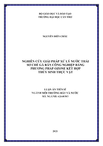 Luận án Nghiên cứu giải pháp xử lý nước thải sơ chế gà rán công nghiệp bằng phương pháp ozone kết hợp thủy sinh thực vật