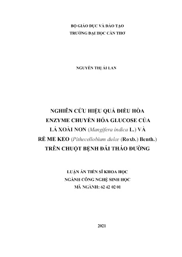 Luận án Nghiên cứu hiệu quả điều hòa enzyme chuyển hóa glucose của lá xoài non (mangifera indica l.) và rễme keo (pithecellobium dulce (roxb.) benth.) trên chuột bệnh đái tháo đường