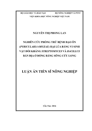 Luận án Nghiên cứu phòng trừ bệnh đạo ôn (Pyricularia oryzae) hại lúa bằng vi sinh vật đối kháng Streptomyces và Bacillus bản địa ở đồng bằng sông Cửu Long