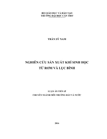 Luận án Nghiên cứu sản xuất khí sinh học từ rơm và lục bình