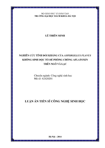 Luận án Nghiên cứu tính đối kháng của Aspergillus flavus không sinh độc tố để phòng chống Aflatoxin trên ngô và lạc