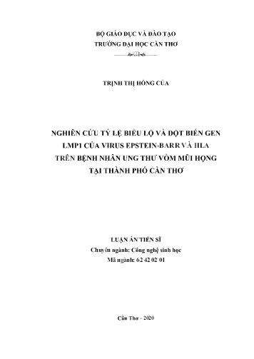 Luận án Nghiên cứu tỷ lệ biểu lộ và đột biến gen LMP1 của virus Epstein-barr và HLA trên bệnh nhân ung thư vòm mũi họng tại Thành phố Cần Thơ