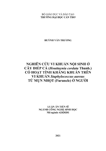 Luận án Nghiên cứu vi khuẩn nội sinh ở cây diếp cá (houttuynia cordata thunb.) có hoạt tính kháng khuẩn trên vi khuẩn staphylococcus aureus từ mụn nhọt (furuncle) ở người
