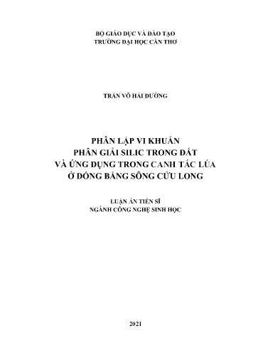 Luận án Phân lập vi khuẩn phân giải Silic trong đất và ứng dụng trong canh tác lúa ở đồng bằng sông Cửu Long