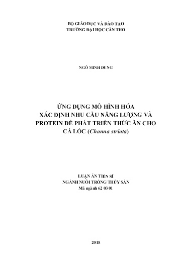 Luận án Ứng dụng mô hình hóa xác định nhu cầu năng lượng và protein để phát triển thức ăn cho cá lóc (Channa striata)