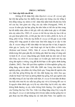 Tóm tắt Luận án Nghiên cứu xác định khả năng xâm nhiễm, gây hại của nấm B. oryzae trên hạt giống lúa tại các tỉnh phía Bắc và ven biển miền Trung Việt Nam