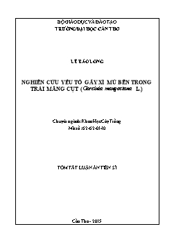 Tóm tắt Luận án Nghiên cứu yếu tố gây xì mủ bên trong trái măng cụt (Garcinia mangostana L.) Tóm tắt Luận án Nghiên cứu yếu tố gây xì mủ bên trong trái măng cụt (Garcinia mangostana L.)