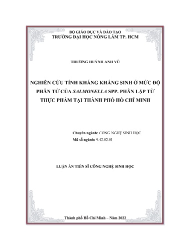 Luận án Nghiên cứu tính kháng kháng sinh ở mức độ phân tử của salmonella spp. phân lập từ thực phẩm tại Thành phố Hồ Chí Minh